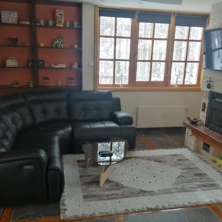 Vila Panic Zlatibor Esterno foto