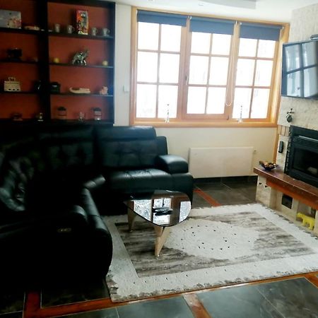 Vila Panic Zlatibor Esterno foto