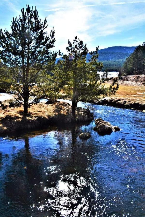 Vila Panic Zlatibor Esterno foto