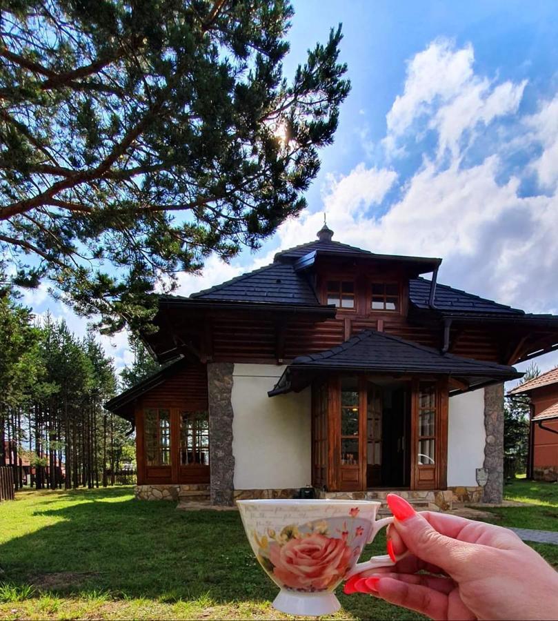 Vila Panic Zlatibor Esterno foto