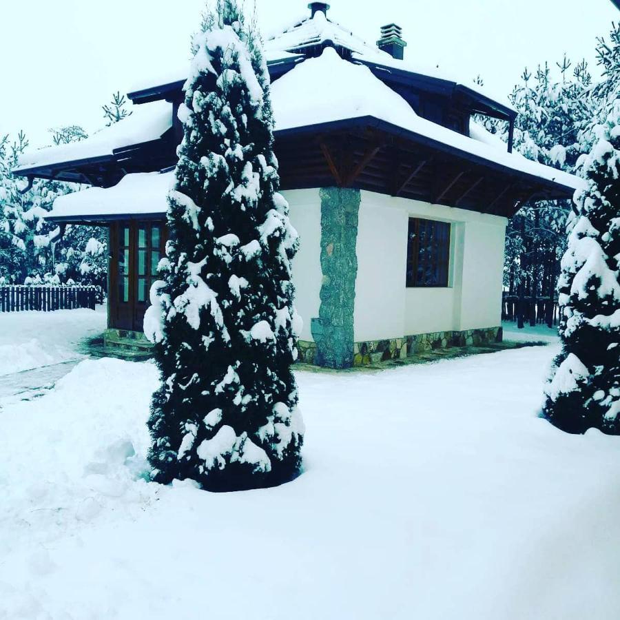 Vila Panic Zlatibor Esterno foto