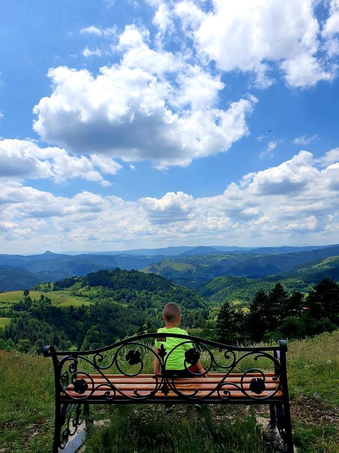 Vila Panic Zlatibor Esterno foto